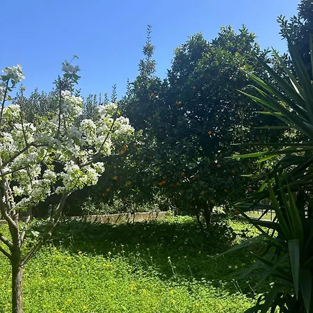 Evia Blue By Sofia Lefkandi Chalkidas