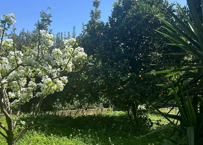 Evia Blue By Sofia Λευκαντί